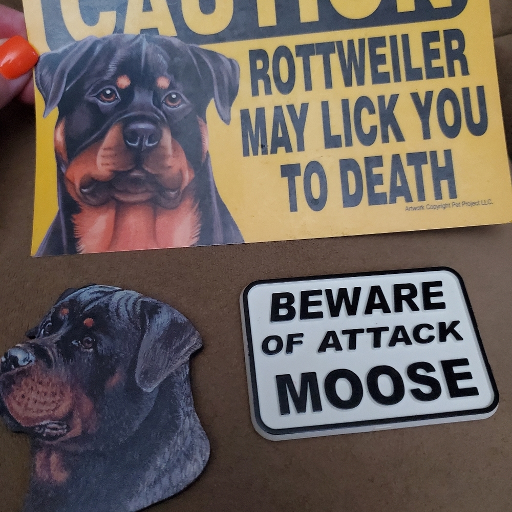 3 Rottweiller magnets - Picture 5 of 5